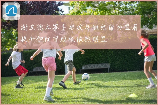 谢泼德本赛季进攻与组织能力显著提升但防守短板依然明显