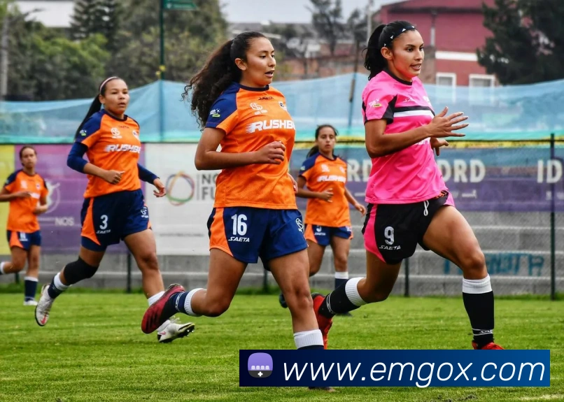 对战数据统计